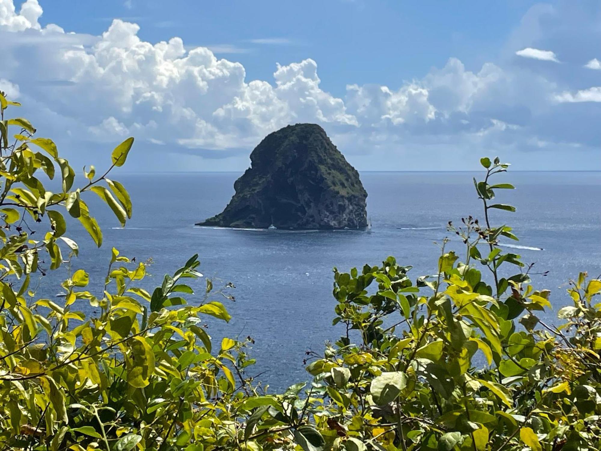 Martinique Studio Escale Diamant Ngoại thất bức ảnh